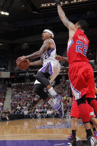 展现了极高 展现了极高